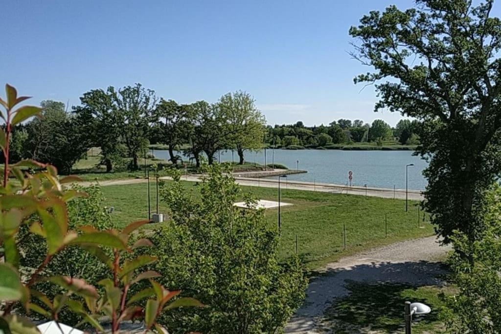 Appartement Climatise Au Coeur De La Provence Lac Et Parcs D'Attractions 10Mn Avignon Monteux Eksteriør bilde